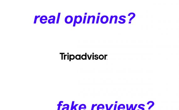 value of trip advisor reviews