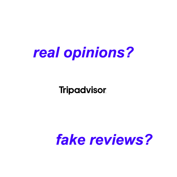 value of trip advisor reviews